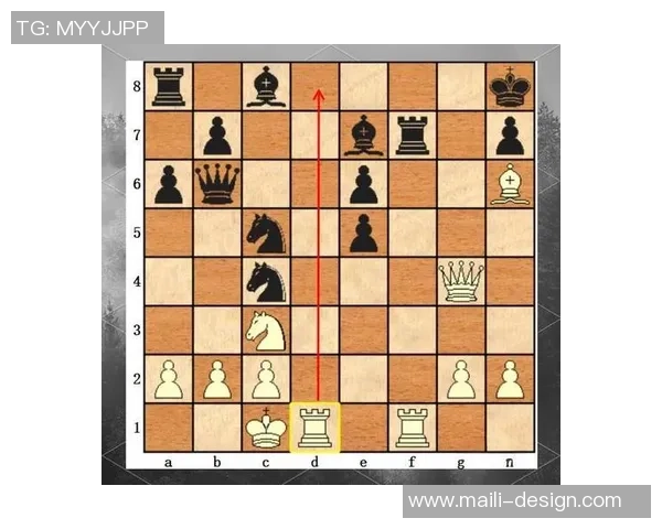 北京网球队速度对比独家深度解析展现运动员实力与战术优势