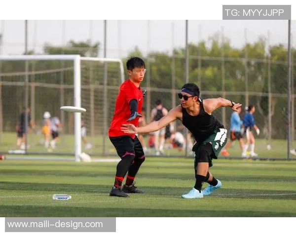 南京飞盘队的战术解析与转换体系探讨之飞盘竞技新思维