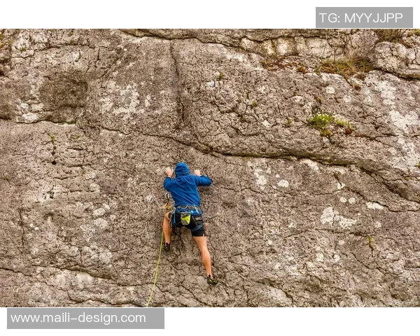 攀登人生的巅峰:陈丽与深度对话的攀岩故事 攀登人生的巅峰:陈丽与深度对话的攀岩故事