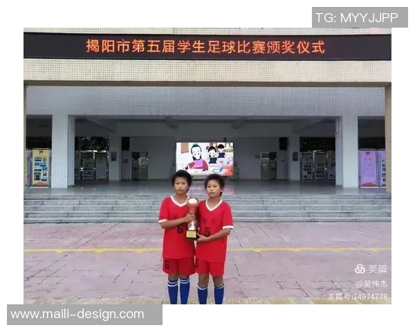 平凡的足球带给我们的感悟与人生启示探讨 平凡的足球带给我们的感悟与人生启示探讨